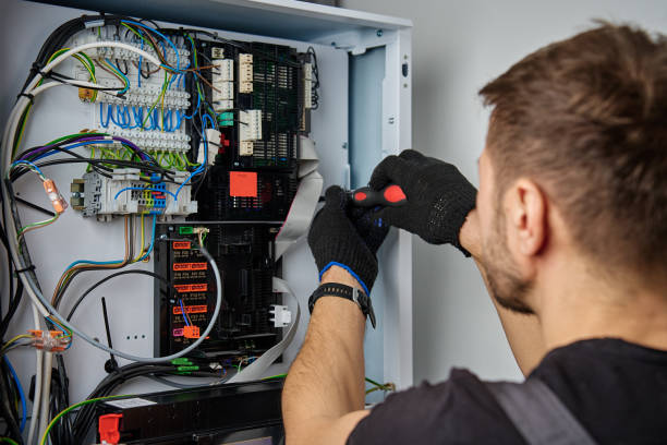 Licensed Electrical Panel Upgrade service in Detroit Beach, MI - No Joke electrician